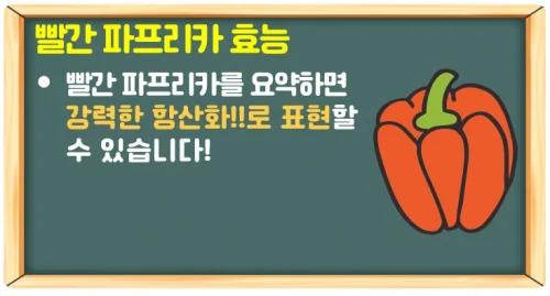 파프리카 효능과 손질 후 보관법(색깔별 효능)