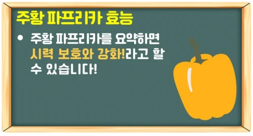 파프리카 효능과 손질 후 보관법(색깔별 효능)