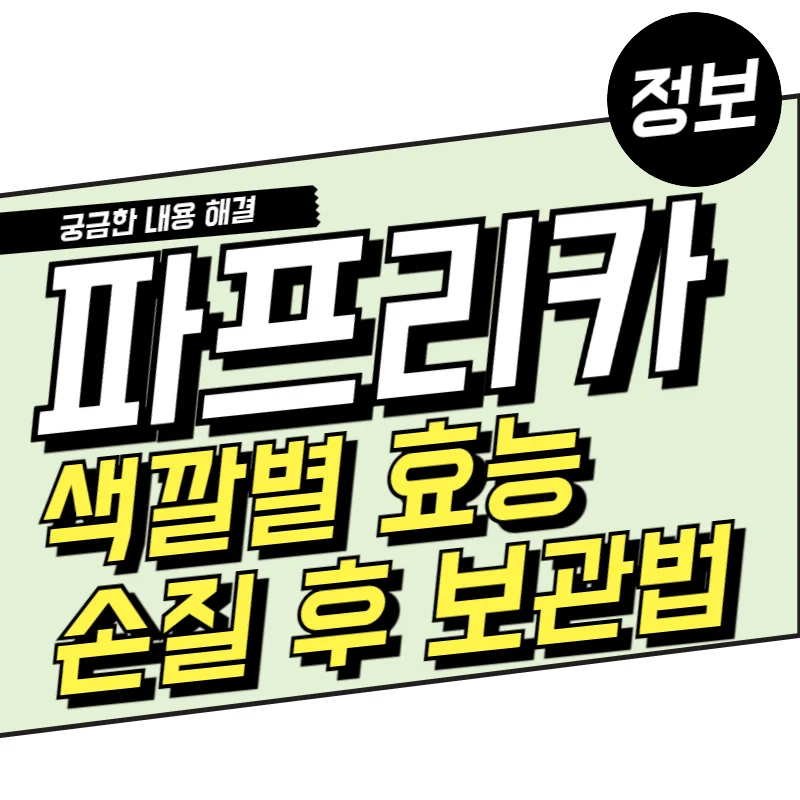 파프리카 효능과 손질 후 보관법(색깔별 효능)