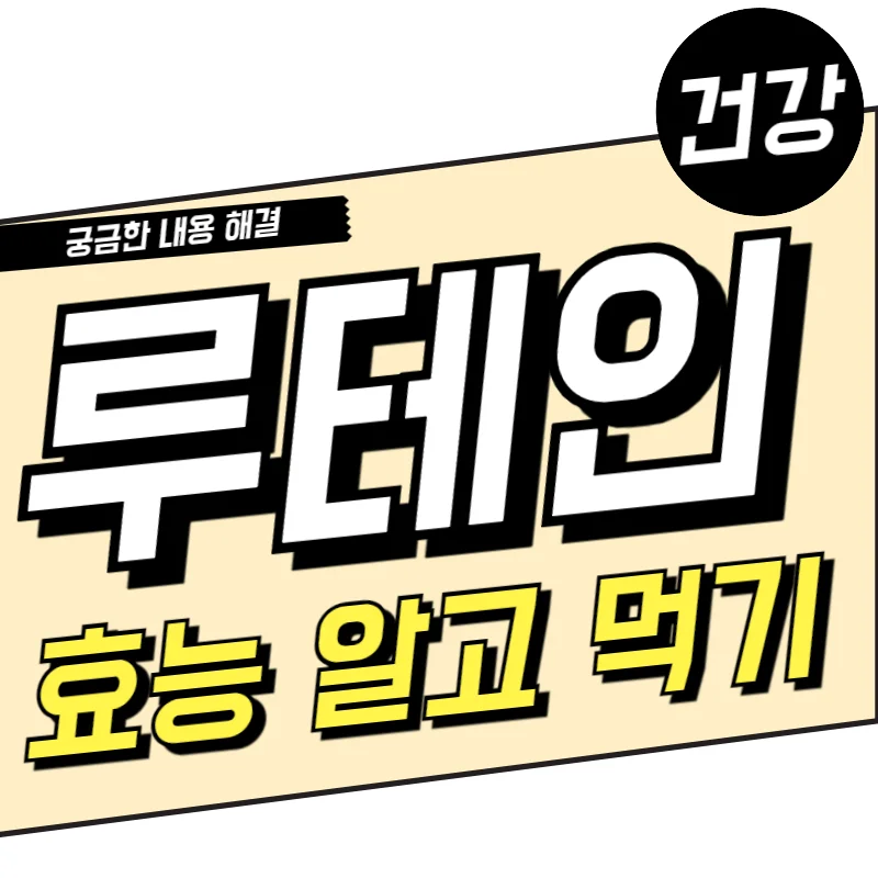 루테인 지아잔틴 효능이 치매 예방해 준다? 루테인 영양제 확인!