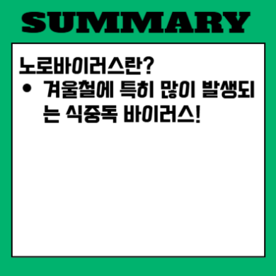 노로바이러스 증상 잠복기 원인과 치료법 확인1