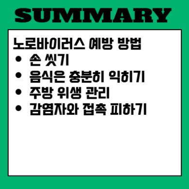 노로바이러스 증상 잠복기 원인과 치료법 확인