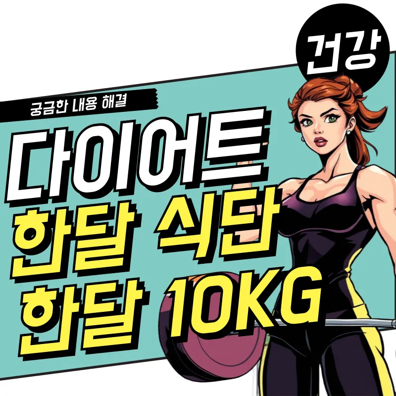 한달 다이어트 식단, 한달 10KG 감량 계획하기