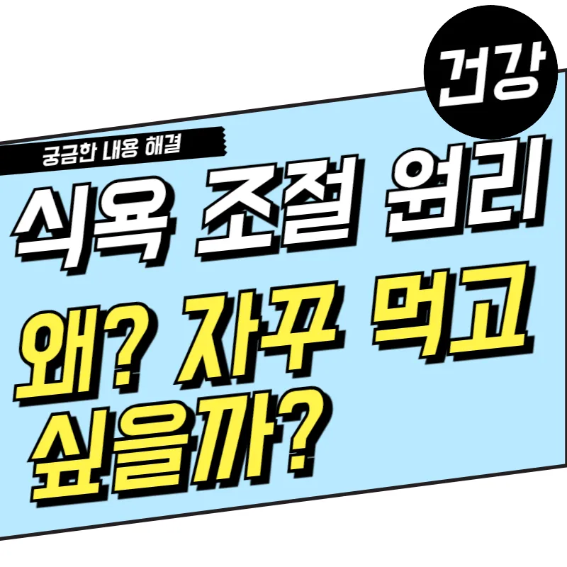 식욕 조절의 원리 4가지 왜 자꾸 먹고 싶을까?